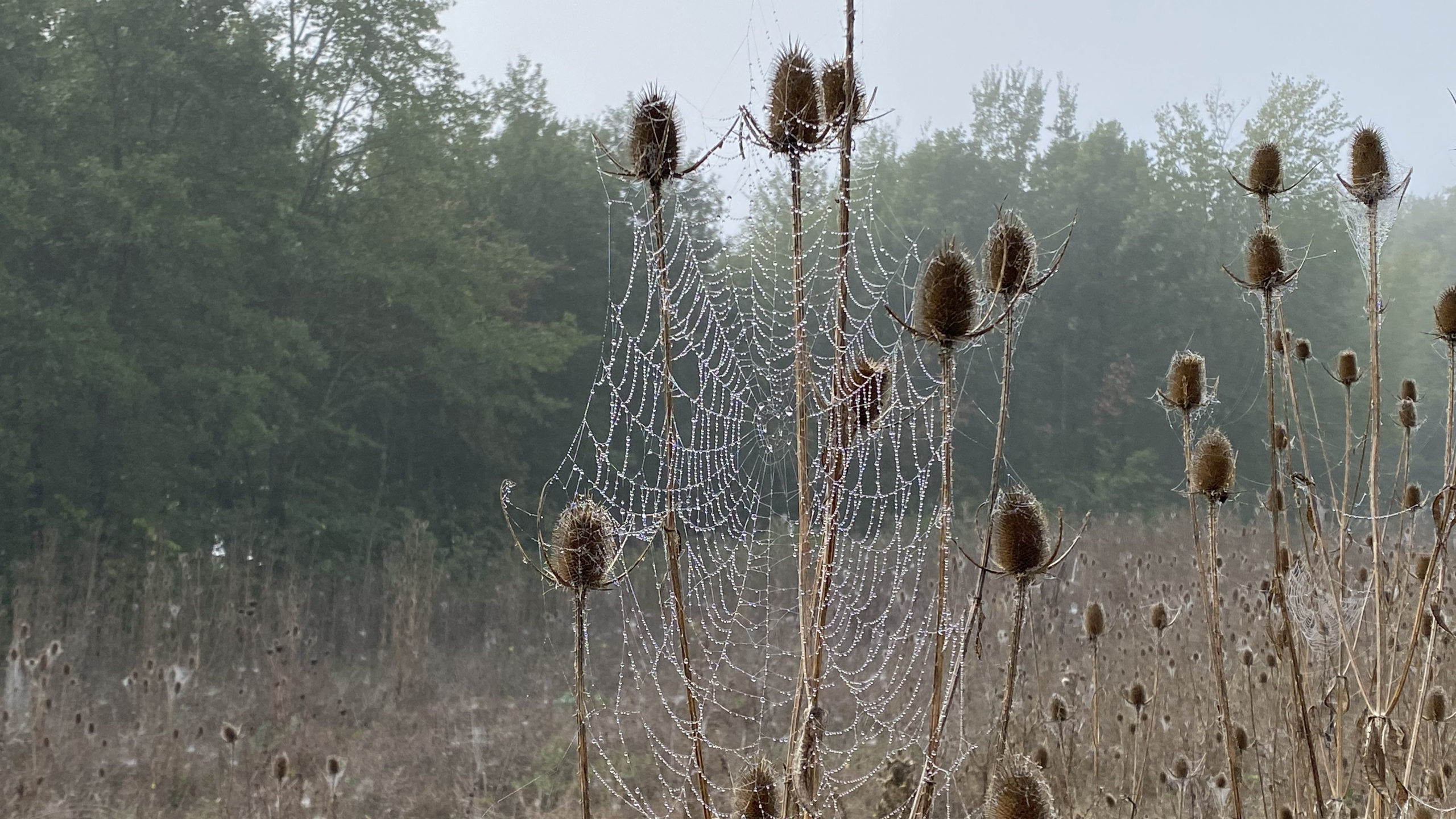 Vertrauensvolles Netz an Beziehungen