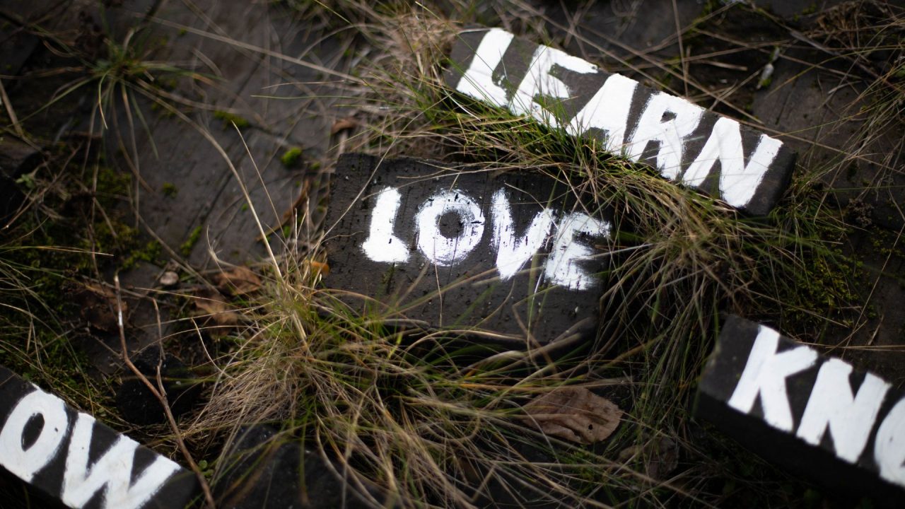 learn love