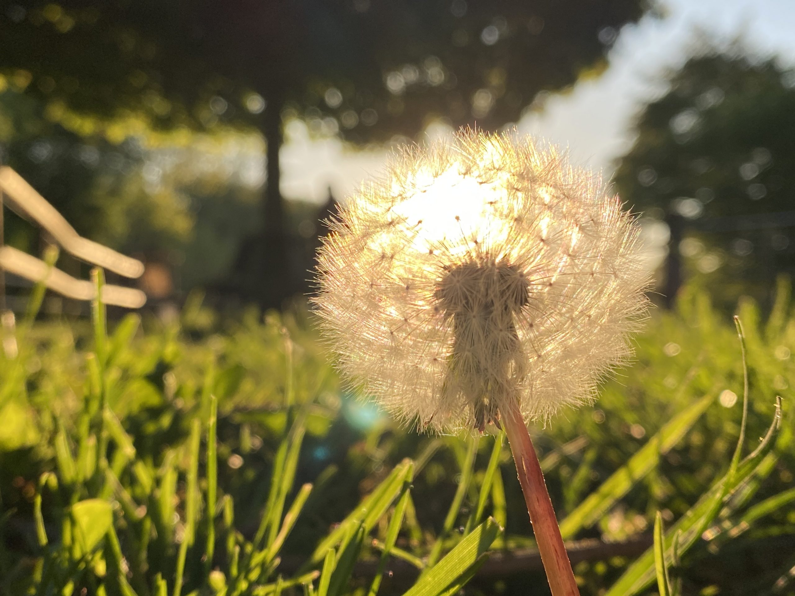 Schreiben ist heilsam!