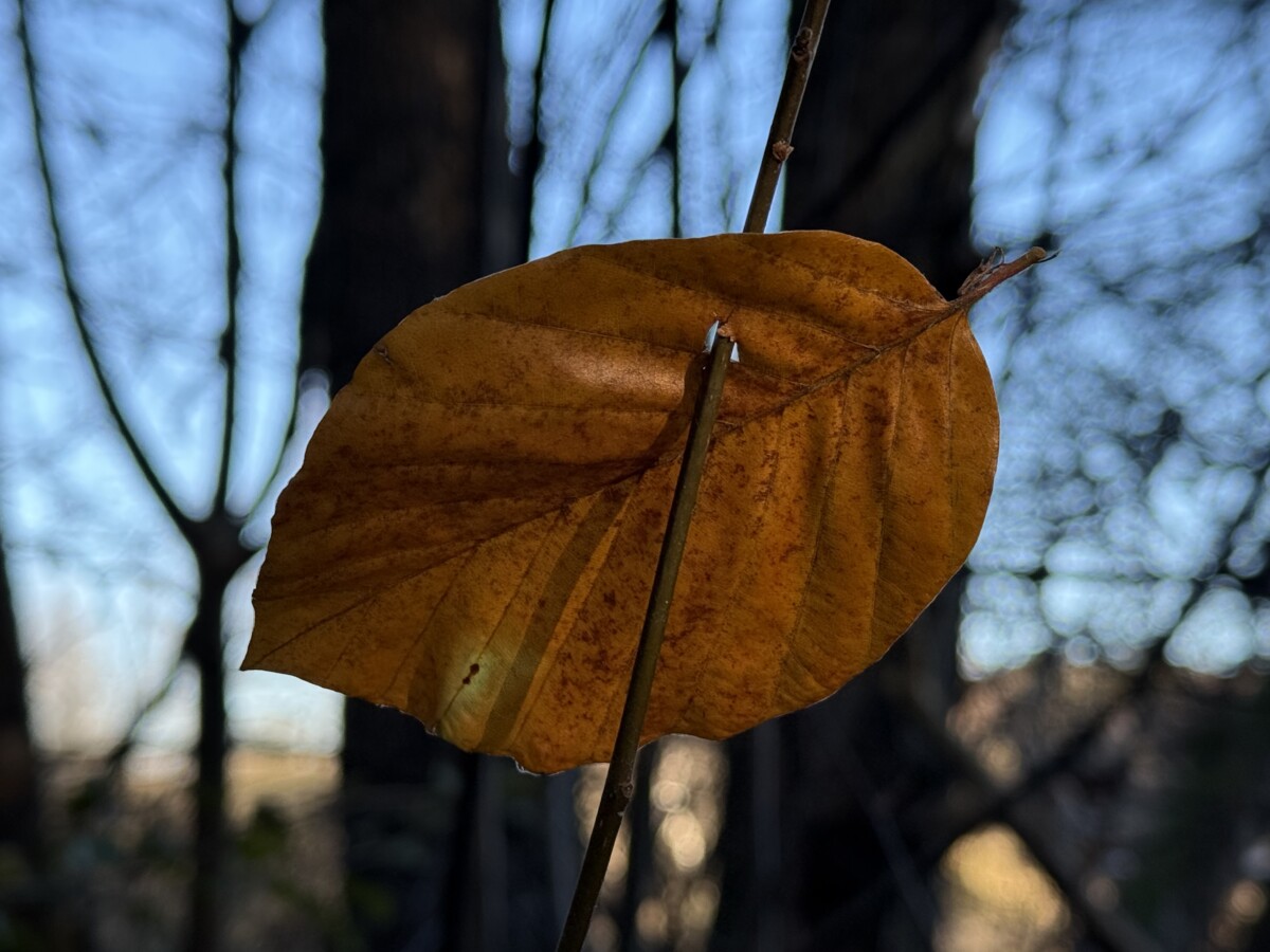 Wenn Worte treffen: Warum Kränkung so oft passiert und wie wir damit reif umgehen können